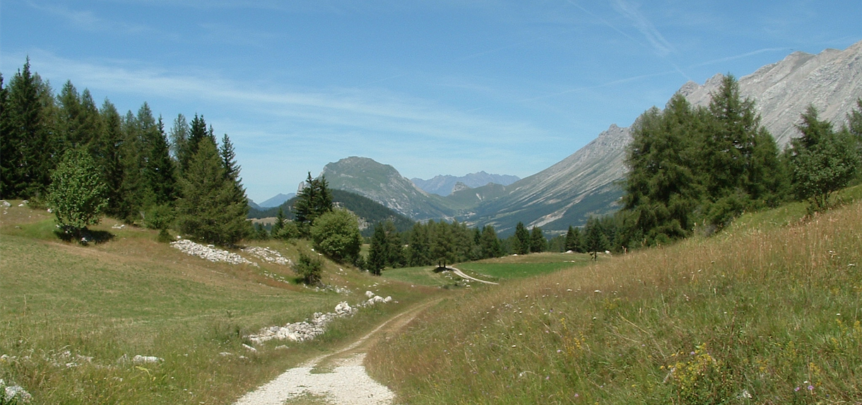 Le plateau de la Bure - Alpes